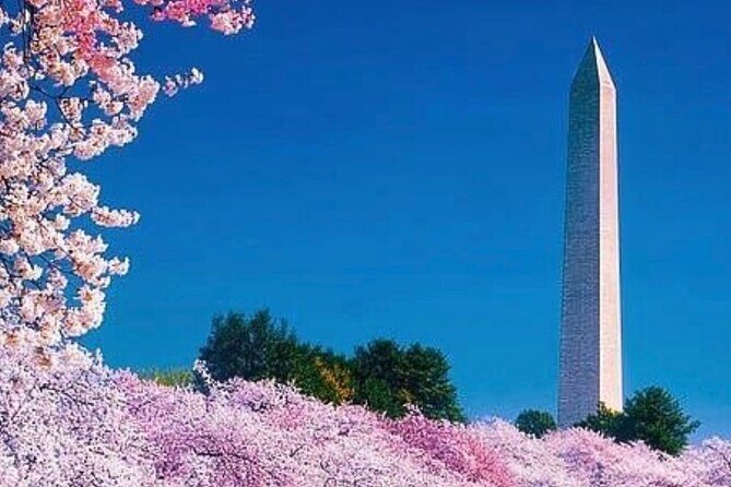 3 Hour Tour Of Washington, D.C. The Nucleus Of Democracy - What You Should Watch For (So It Lives Up to Your Plan)
