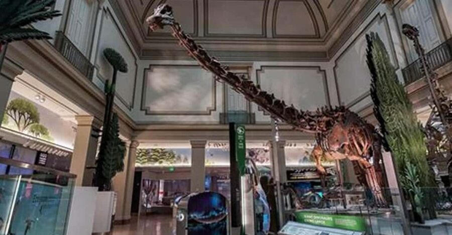 American History/Natural History Museum Combo Guided Tour - Natural History Museum: Hope Diamond, Mars touch, and planet-scale wonder