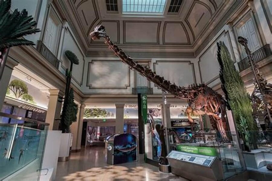 American History/Natural History Museum Combo Guided Tour - How the guided format saves you energy (and improves your results)