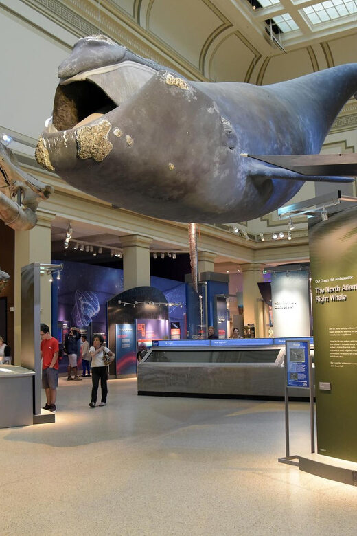 American History/Natural History Museum Combo Guided Tour - Who this tour suits best (and who might skip it)