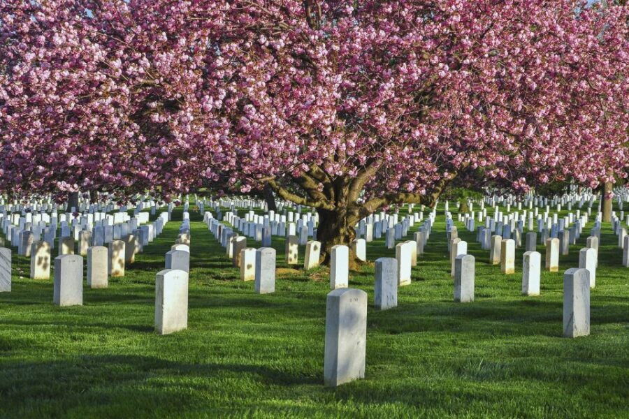 Arlington Cemetery Walk with National Mall Night Bus Tour - Should you book this Arlington Cemetery walk + night bus?