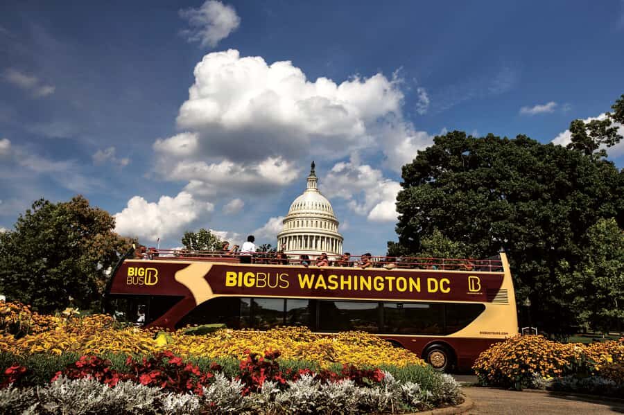 Best of DC: Hop-on Hop-off Bus Tour & Night Tour (Save 40%) - Beyond the Mall: White House, Capitol, and the Museum Day Flow