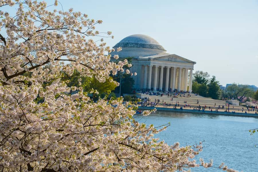 Best of DC: Hop-on Hop-off Bus Tour & Night Tour (Save 40%) - Included Extras That Boost Value Fast