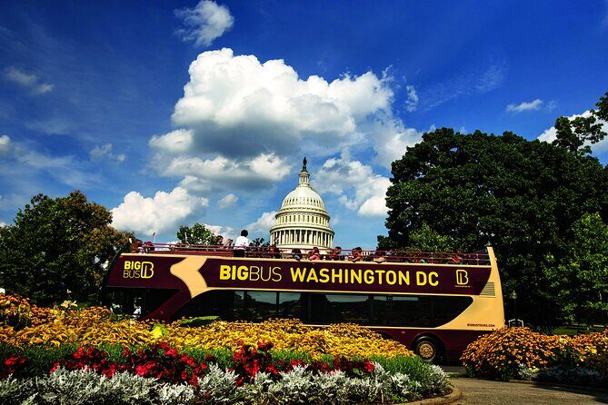 Best of DC: Hop-on Hop-off, Night Tour, and Arlington Audio Guide - Key highlights that make this DC bundle work