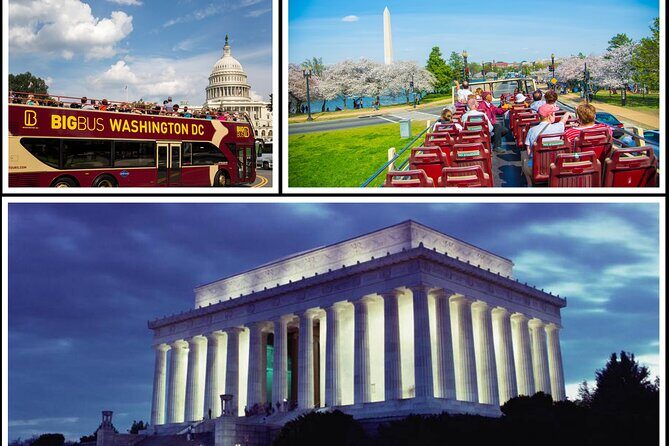 Best of DC: Hop-on Hop-off, Night Tour, and Arlington Audio Guide - Daytime freedom with 24, 48, or 72 hours on the Big Bus
