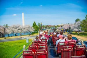 Best of DC: Hop-on Hop-off, Night Tour, and Arlington Audio Guide - Open-top night ride for Monuments and Memorials (and why it’s different)