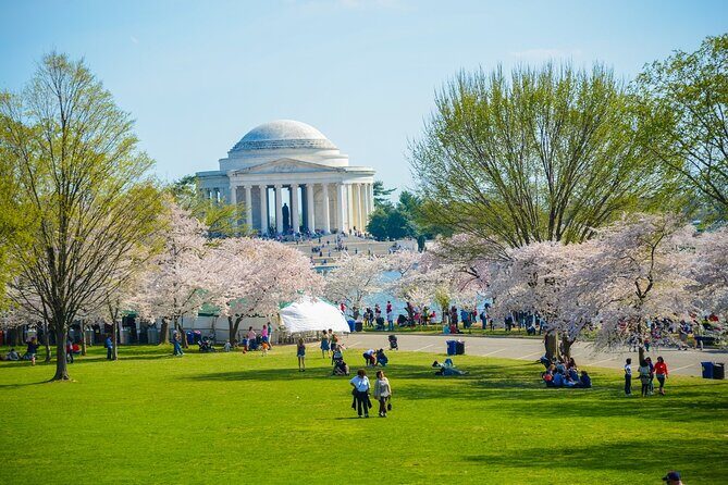 Best of DC: Hop-on Hop-off, Night Tour, and Arlington Audio Guide - Should you book Best of DC: Hop-on Hop-off, Night Tour, and Arlington Audio Guide?