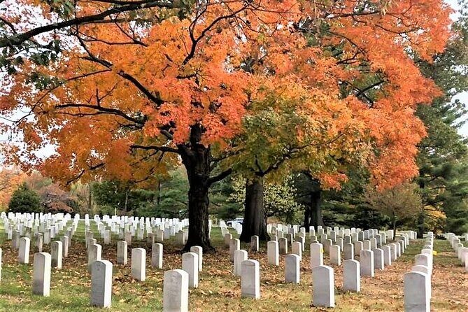 Day or Night National Mall Bus Tour with Arlington Cemetery Walk - Vietnam Veterans Memorial: the stop that asks you to slow down