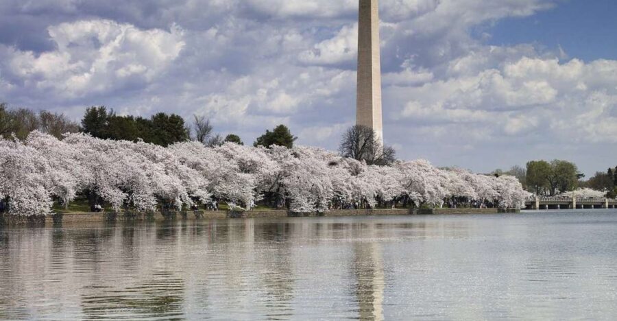 DC Bus Tour with Optional Washington Monument or Air & Space - Optional Ticket Upgrades: Washington Monument, Air & Space, and African American History Museum