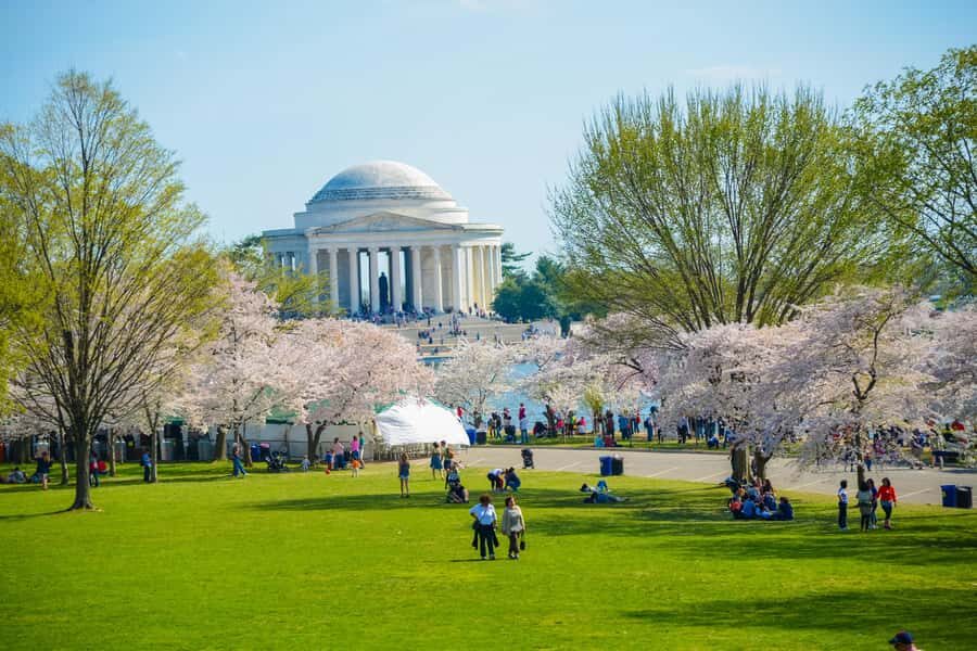 DC: Hop-on Hop-off Tour by Open-top Bus with 17 Stops - Key Takeaways Before You Ride