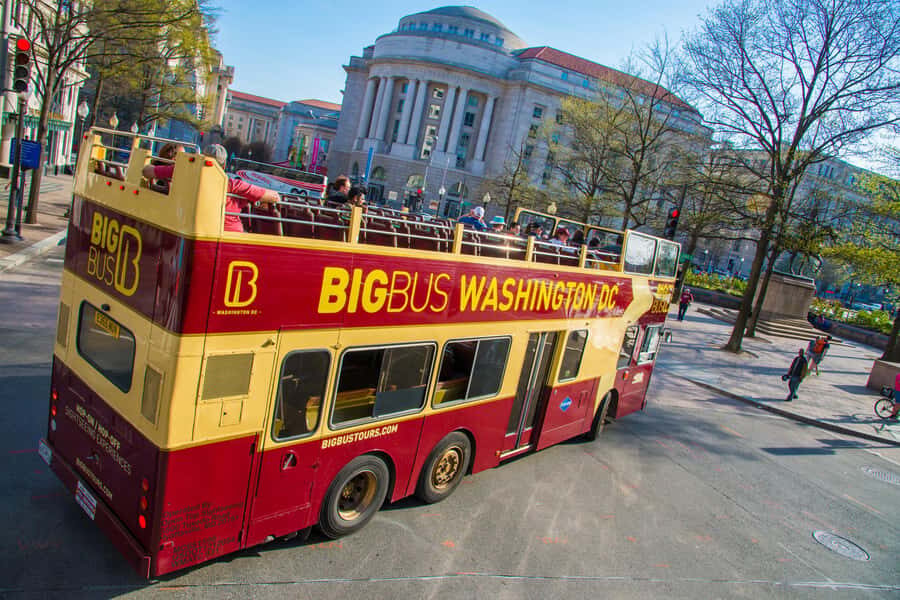 DC: Hop-on Hop-off Tour by Open-top Bus with 17 Stops - What I’d Watch For (So You Don’t Lose Time)
