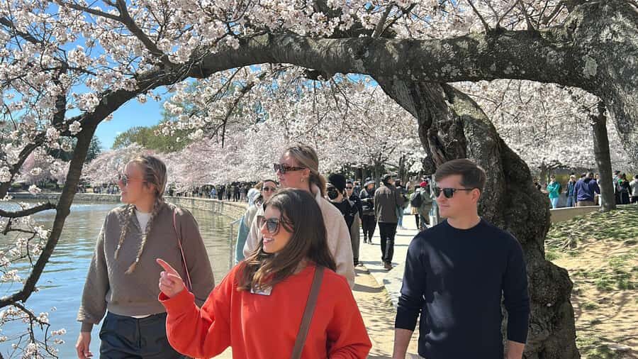 DC: National Mall 2.5 Hr Tour & Washington Monument Tickets - Why this National Mall tour works so well