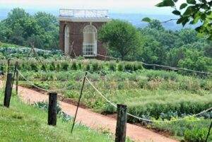 DC: Private Day Trip to Thomas Jefferson’s Monticello Estate - Hotel pickup and security before Monticello even starts