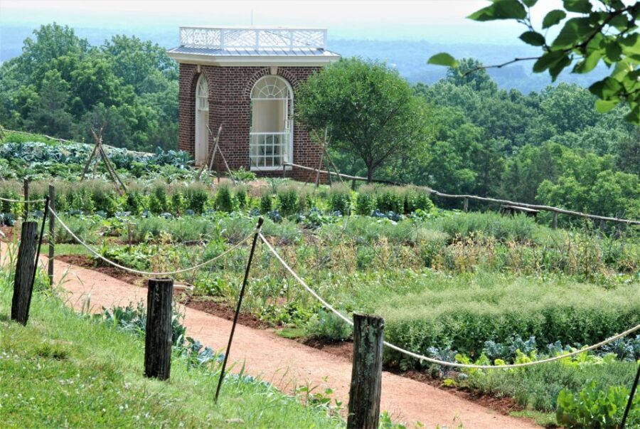 DC: Private Day Trip to Thomas Jefferson’s Monticello Estate - Hotel pickup and security before Monticello even starts