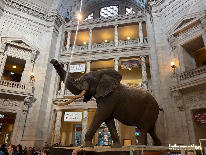 DC: Smithsonian Highlights Walking Tour with Air and Space - The Guide Factor: Why Storytelling Turns Objects Into Meaning