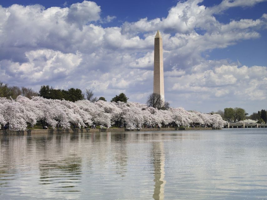 DC: Tour with U.S. Capitol Ground Access - Who this tour fits best (and who should choose differently)