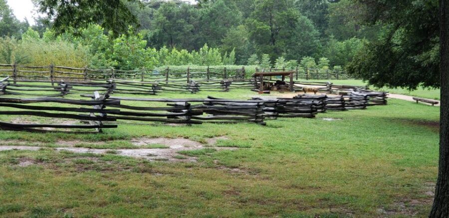 From Washington DC: Old Town Alexandria & Mount Vernon Tour - Lunch at the Mt Vernon Food Court: plan for the break