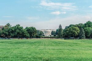 Grand Sightseeing Tour of Washington DC - The 3-Hour Pace: Why the Van Makes Sense Here