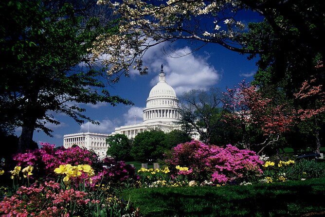 Guided Capitol Hill with US Capitol and Library of Congress Entry - Capitol Hill Walking Passes: Supreme Court, Peace Monument, and Grant’s Area