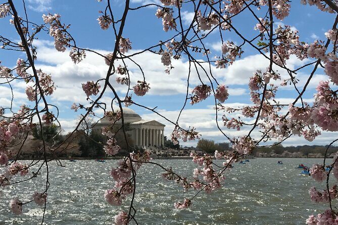 Half-Day Private Guided Bike Tour in Washington - Library of Congress stop: architecture plus optional inside time