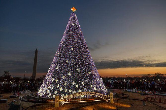 Holiday Lights Tour of Washington DC and Old Town Alexandria - U.S. Capitol outside: first Christmas-tree look