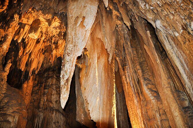 Luray Caverns and Shenandoah Small Group Max 12 Day Tour from D.C - What the Day Covers, Actually: Tickets, Water, and What You Pay Separately