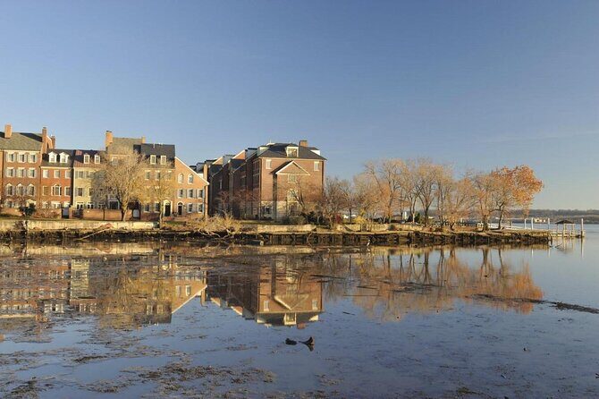 Mount Vernon Guided Estate Tour plus Old Town Alexandria from DC - A 10am pickup that actually helps you see more