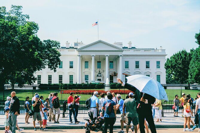 National Mall & Cherry Blossoms Tour with Optional Museum Tickets - How the bus-and-walk format keeps DC from feeling like homework