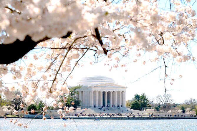 National Mall & Cherry Blossoms Tour with Optional Museum Tickets - Comfort and group size: why this feels easier than huge buses