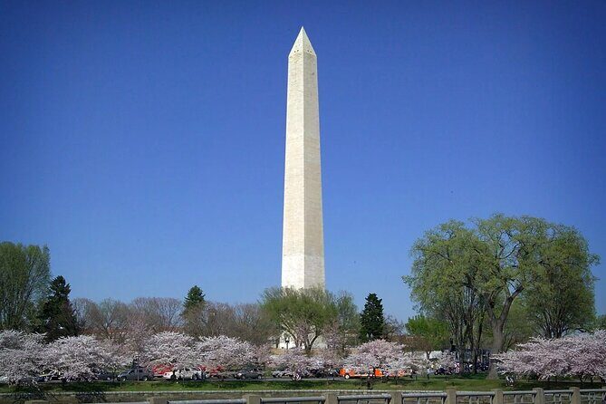 National Mall & Cherry Blossoms with Washington Monument Ticket - Key highlights