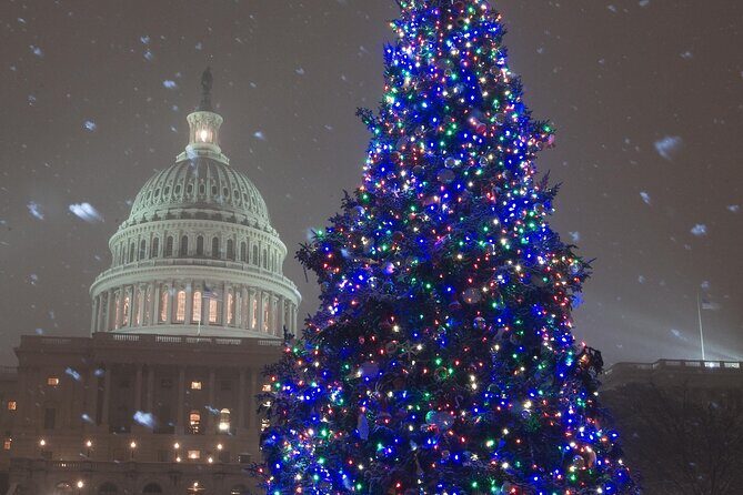 National Mall Monuments Night Tour with 10+ Stops, Entry Tickets - The Free Memorial Stops: Korean War, WWII, and Vietnam