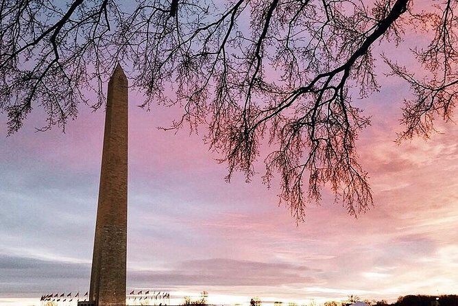 National Mall Tour w/ Washington Monument Semi-Private 12ppl Max - Start at the Albert Einstein Memorial and build your bearings fast