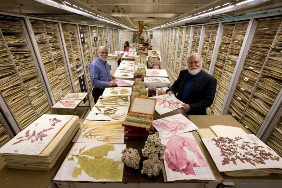 Natural History Museum & American History Museum - What Price Gets You (and Whether It’s Good Value)
