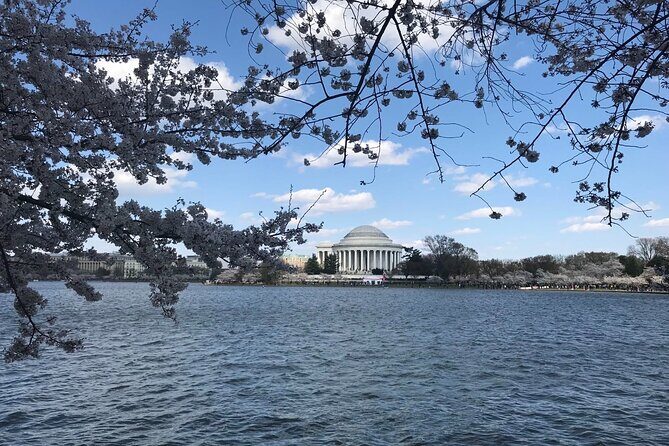 NYC to D.C Day Trip: Thomas Jefferson Memorial to Cherry Blossoms - Stop 1: Thomas Jefferson Memorial at the Tidal Basin