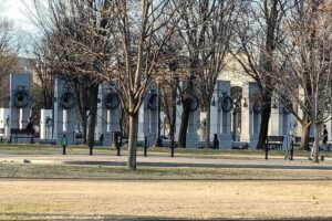 Private and personalized tour of Washington dc - Your driver makes it personal: names that kept coming up