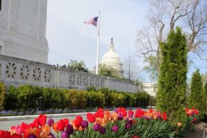 Private Multilingual DC City Tour (Spanish, Portuguese, English) - How the 4-hour pace actually feels in the real world