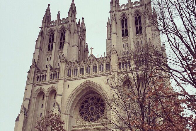 Private Multilingual DC City Tour (Spanish, Portuguese, English) - Comfort and control: what “private” changes