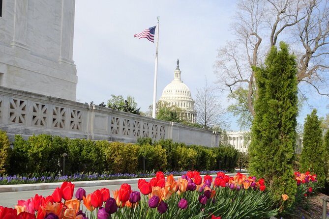 Private Multilingual DC City Tour (Spanish, Portuguese, English) - How the 4-hour pace actually feels in the real world