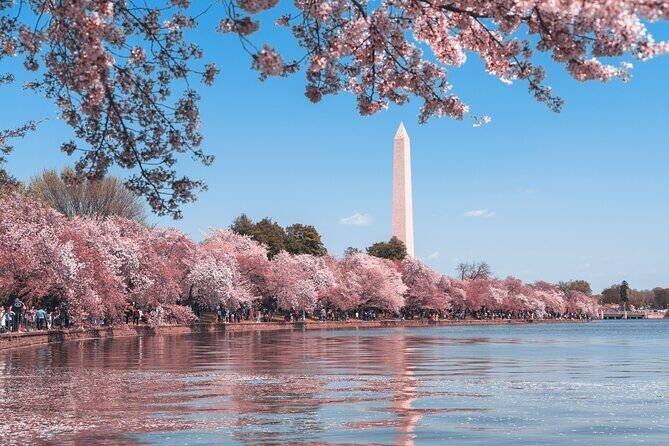 Private Tour of Washington DC - Private Limo-Style DC Highlights: What You Really Get for $355