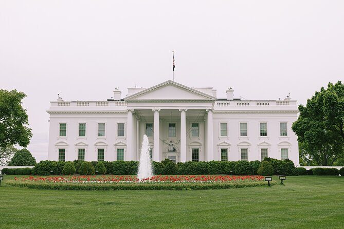 Private Tour of Washington DC (English/Portuguese) - White House stop: a must-see with a little extra context