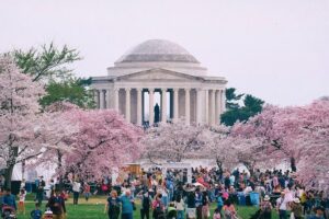 Private Washington DC City Tour - Price and Value: What $436.80 Actually Buys You