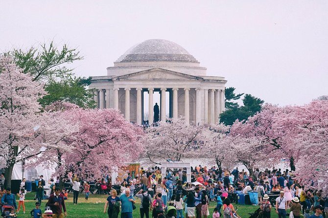 Private Washington DC City Tour - Price and Value: What $436.80 Actually Buys You