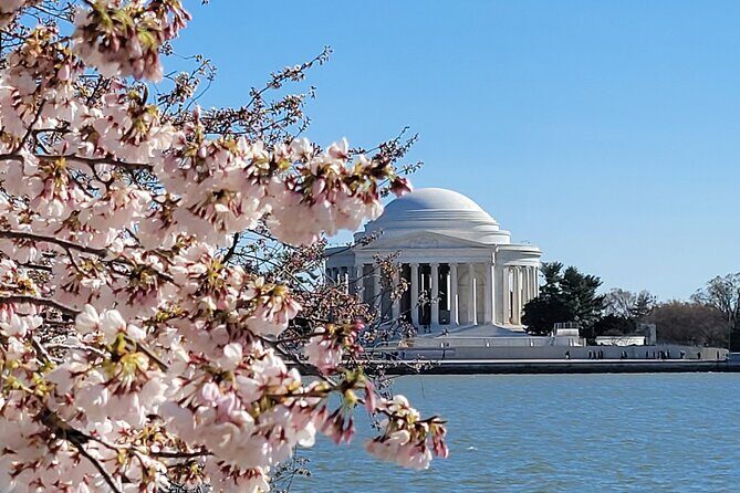 Private Washington DC Tour with Changing of the Guard Ceremony - Key Highlights to Look for on This Private DC Tour