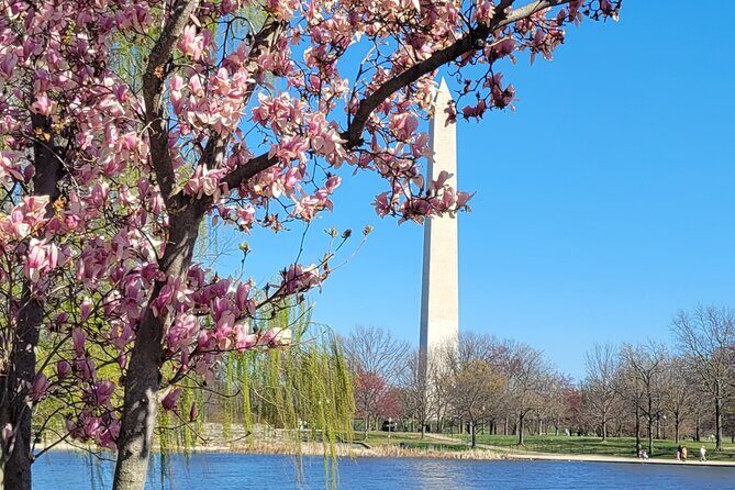 Private Washington DC Tour with Changing of the Guard Ceremony - Air Force Memorial and the Pentagon View Before You Roll Back