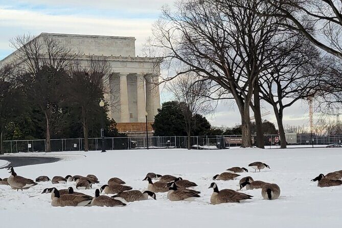 Private Washington DC Tour with Changing of the Guard Ceremony - A Pennsylvania Avenue Narrative Drive to the U.S. Capitol