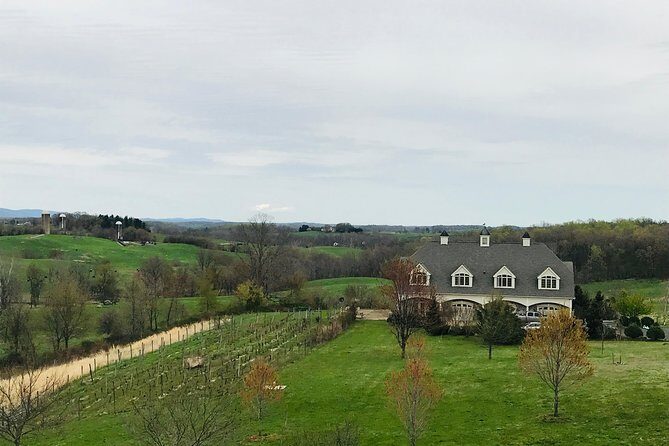 Private Washington DC Virginia Winery Wine Tasting Tour - A wine day run from Washington DC, not your car