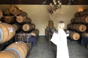 Private Washington DC Virginia Winery Wine Tasting Tour - Timing, pickup, and how to plan your day
