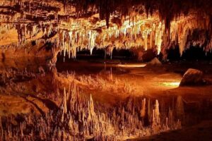 Shenandoah and Luray Caverns Small Group Tour from DC - Pickup locations and timing: know where to be