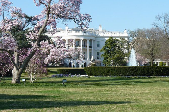 Small Group Tour of DC - Open-Top or Glass Convertible Luxury Bus - Korean War and Vietnam Veterans Memorials: the quieter impact stops