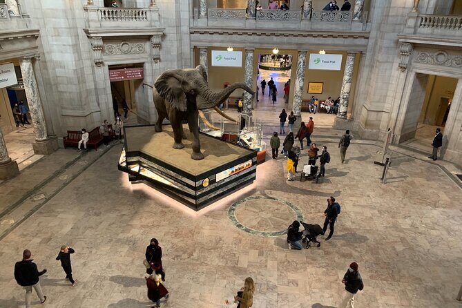 Smithsonian Museum of Natural History Guided Tour - Why this guided tour works at the Smithsonian (and when it doesn’t)